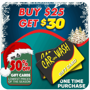 Holiday Gift Card 25 dollars